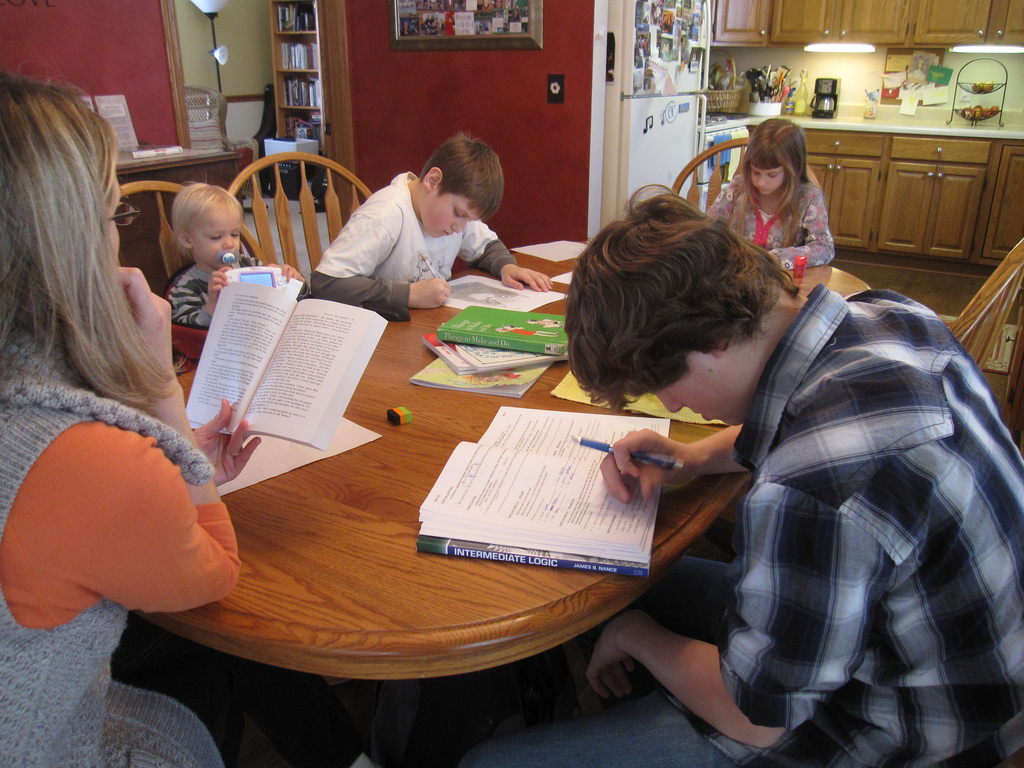 Homeschooling Programs: An Alternative to Traditional Education
